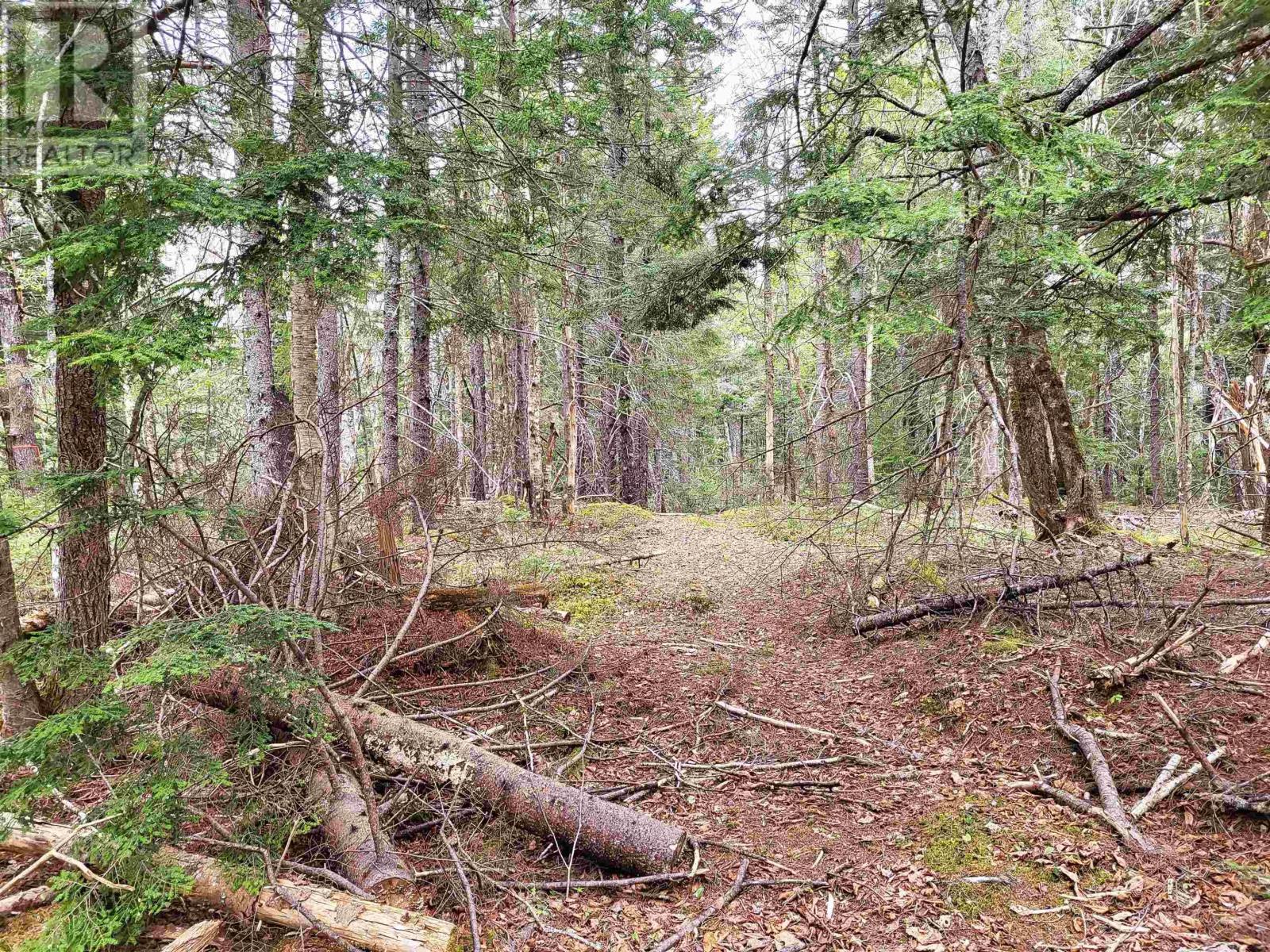 Lot Hirtle Road Property Photo 27