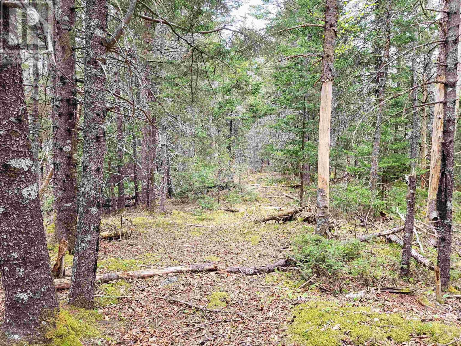 Lot Hirtle Road Property Photo 28