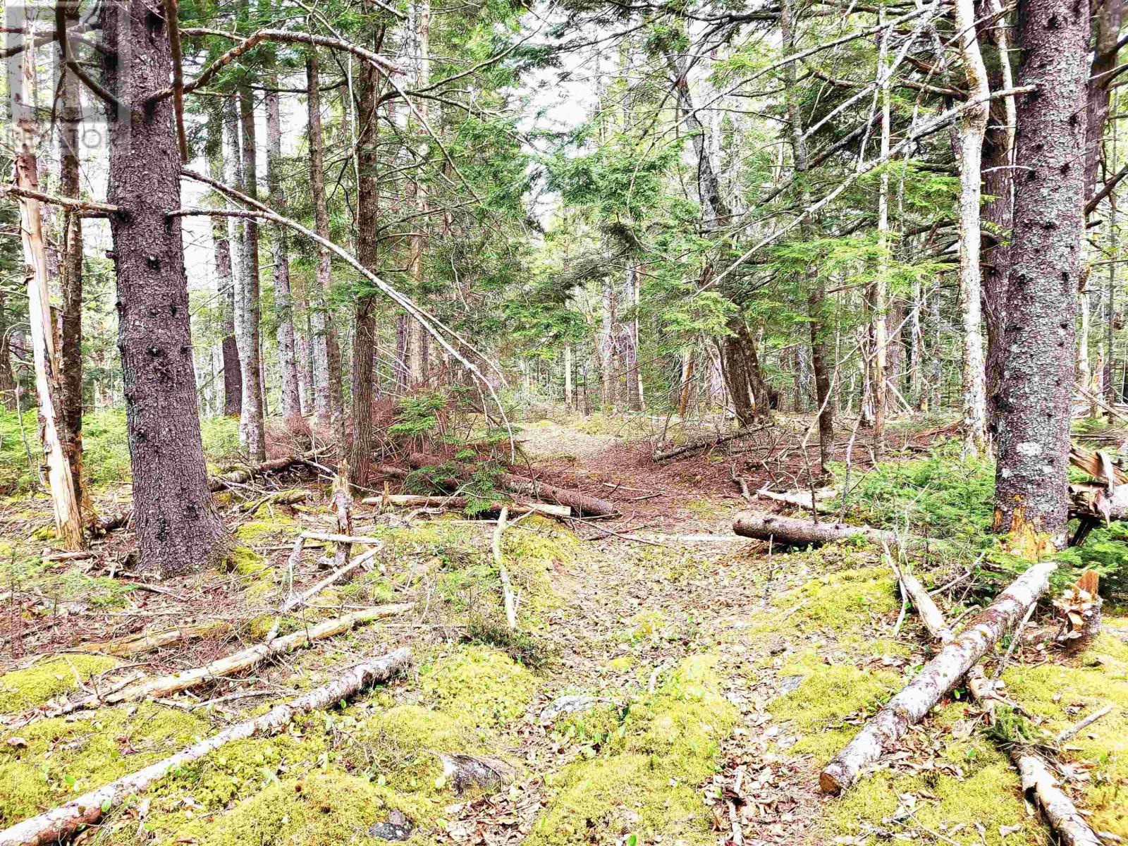 Lot Hirtle Road Property Photo 30