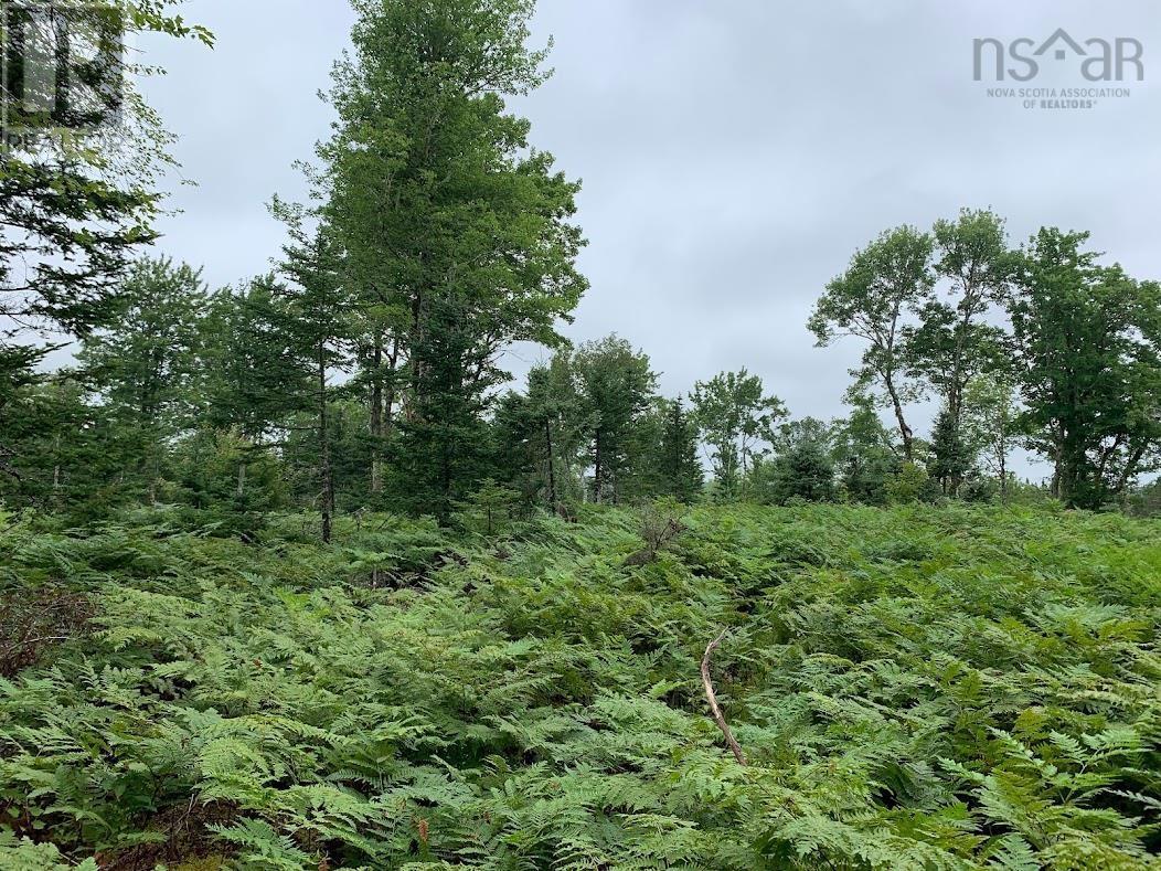 Lot 3 Pleasant River Preserve Property Photo 2