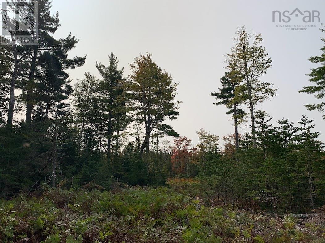 Lot 3 Pleasant River Preserve Property Photo 5