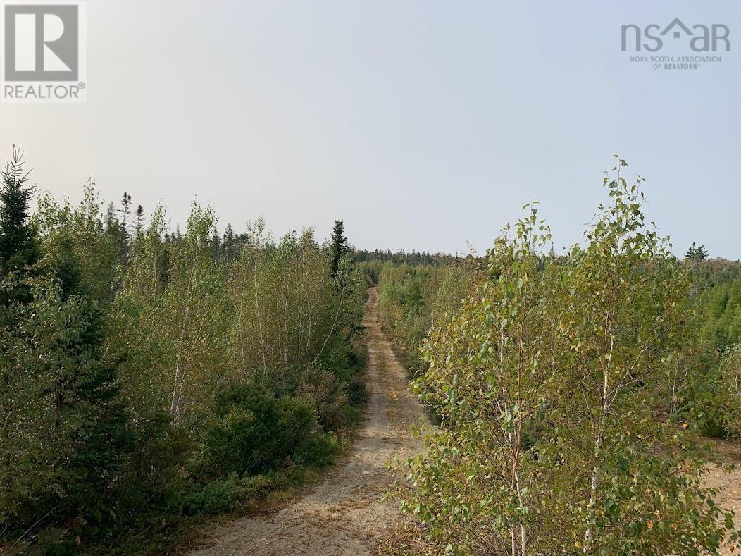 Lot 3 Pleasant River Preserve Property Photo 6