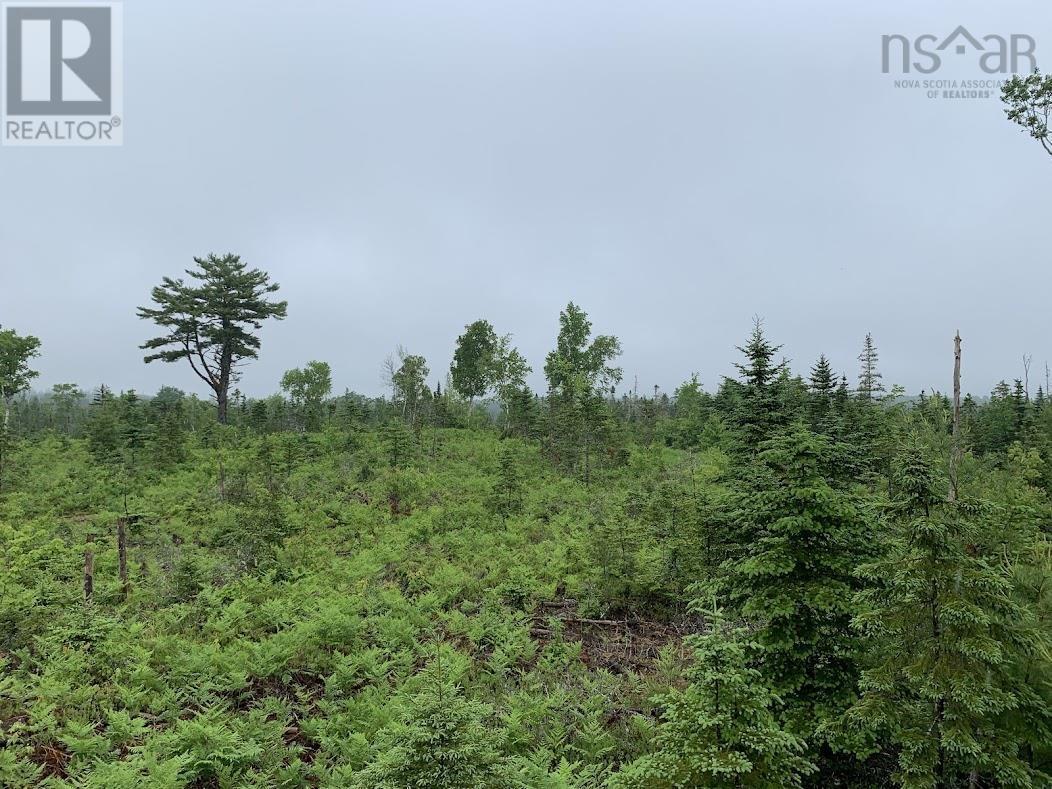Lot 3 Pleasant River Preserve Property Photo 8