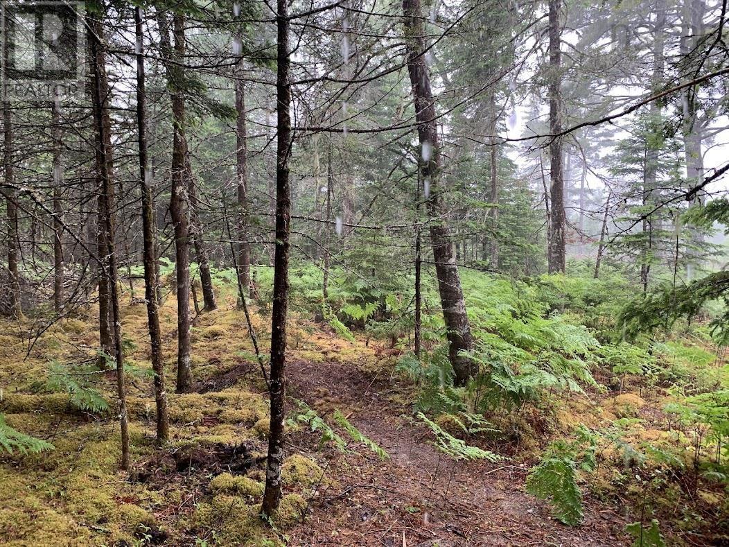 Lot 3 Pleasant River Preserve Property Photo 9