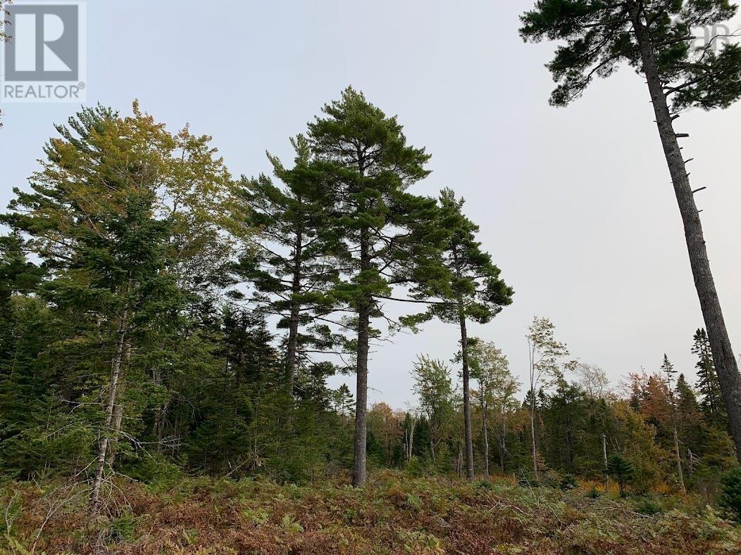 Lot 3 Pleasant River Preserve Property Photo 11
