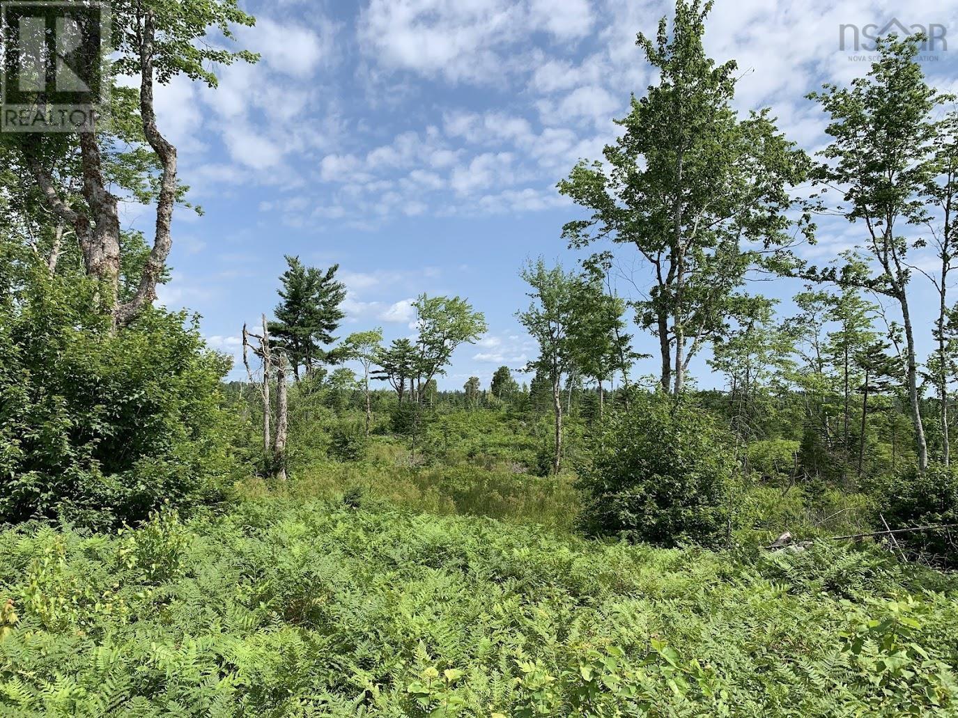 Lot 3 Pleasant River Preserve Property Photo 14