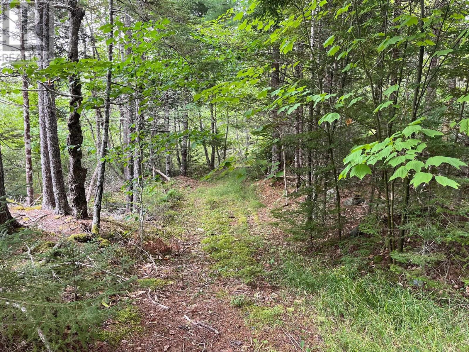 Lot B Meadowlark Road Property Photo 3