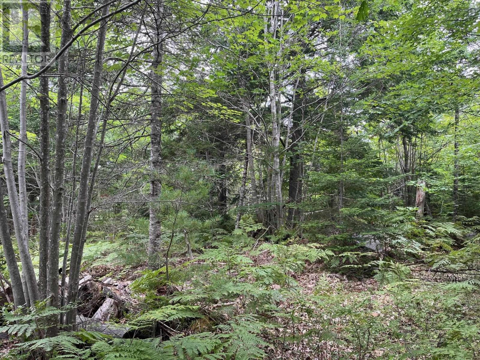 Lot B Meadowlark Road Property Photo 4