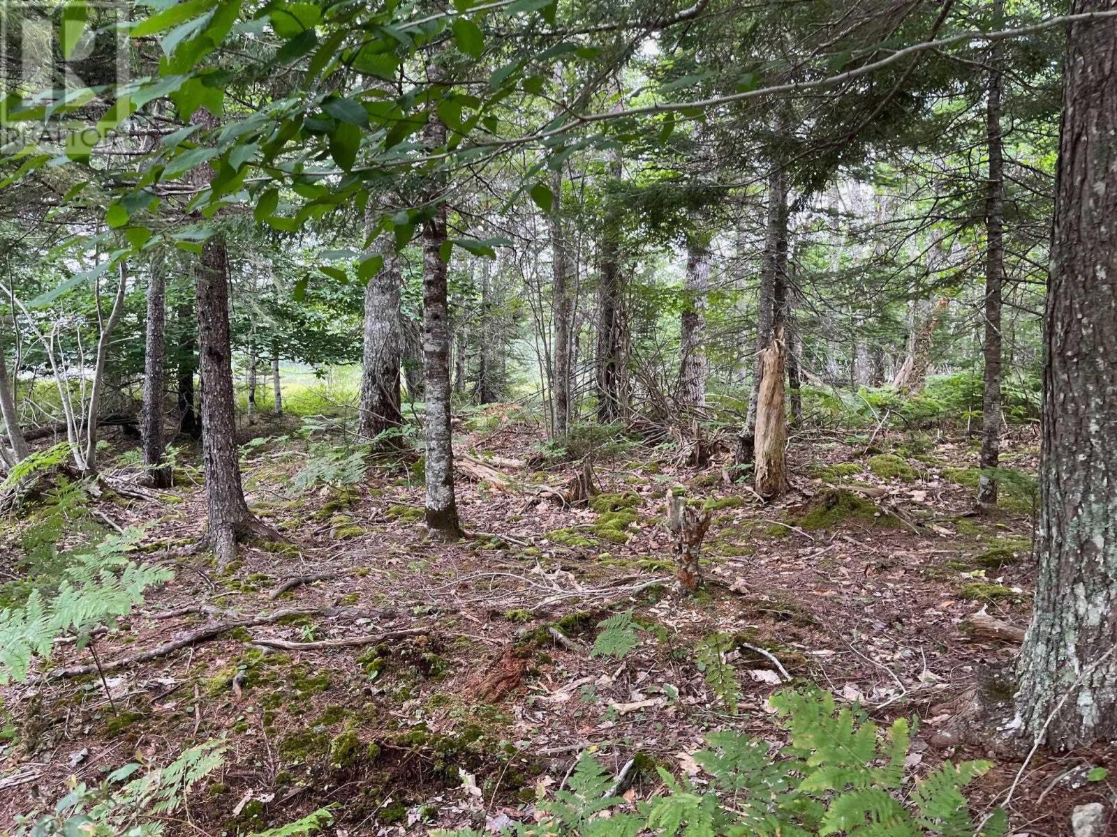 Lot B Meadowlark Road Property Photo 5
