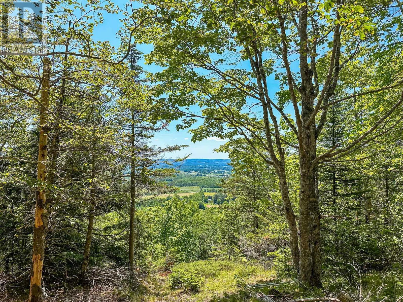 Lot 1 Brow Of Mountain Road Property Photo 2