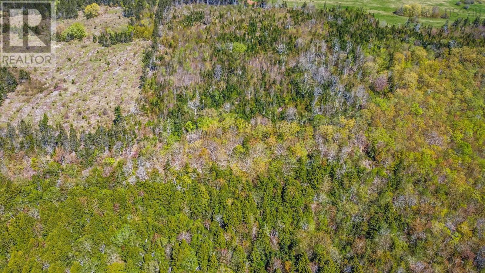 Lot 1 Brow Of Mountain Road Property Photo 14