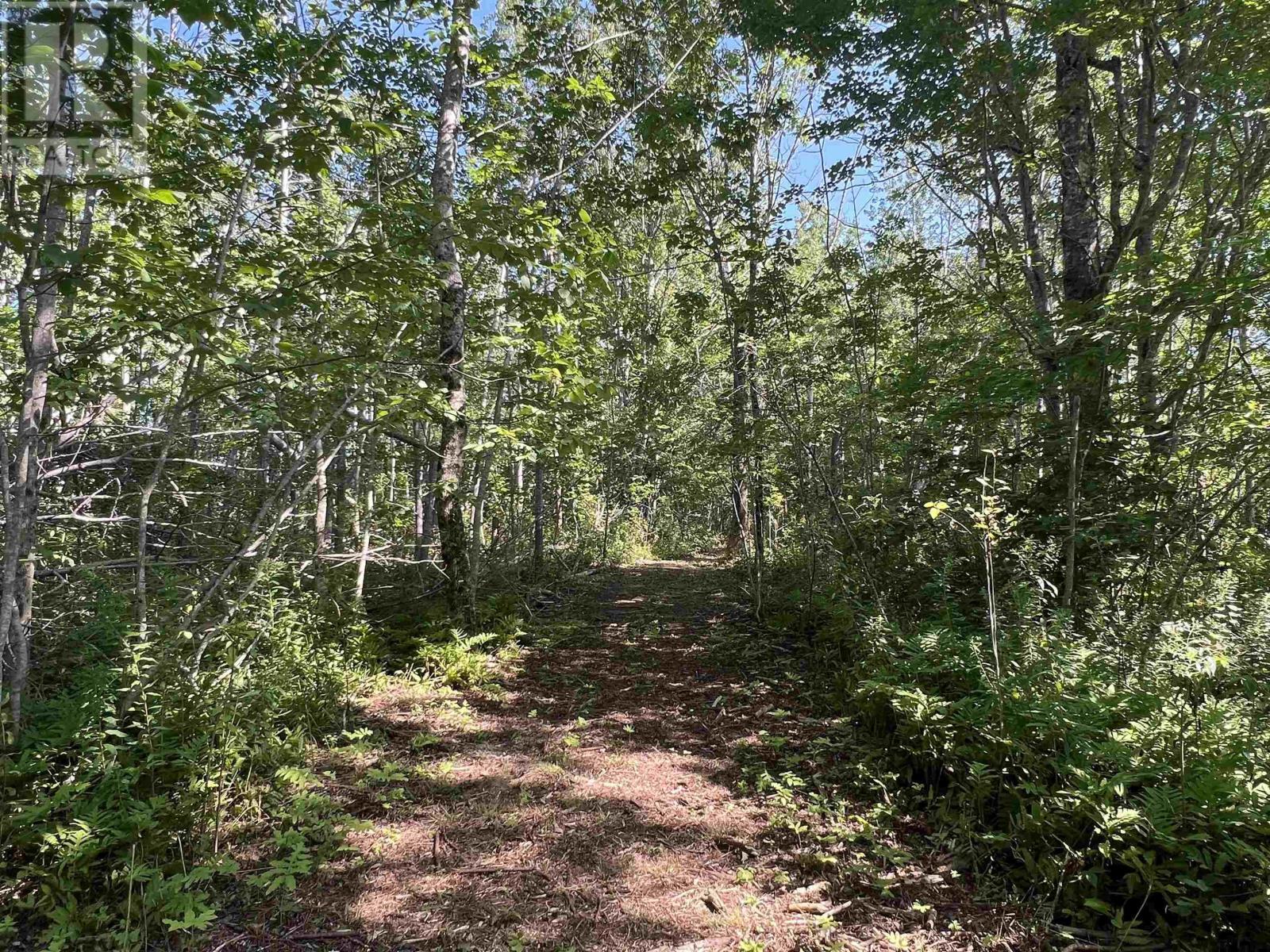 Lot 4-1a2 Loch Broom Road Property Photo 8