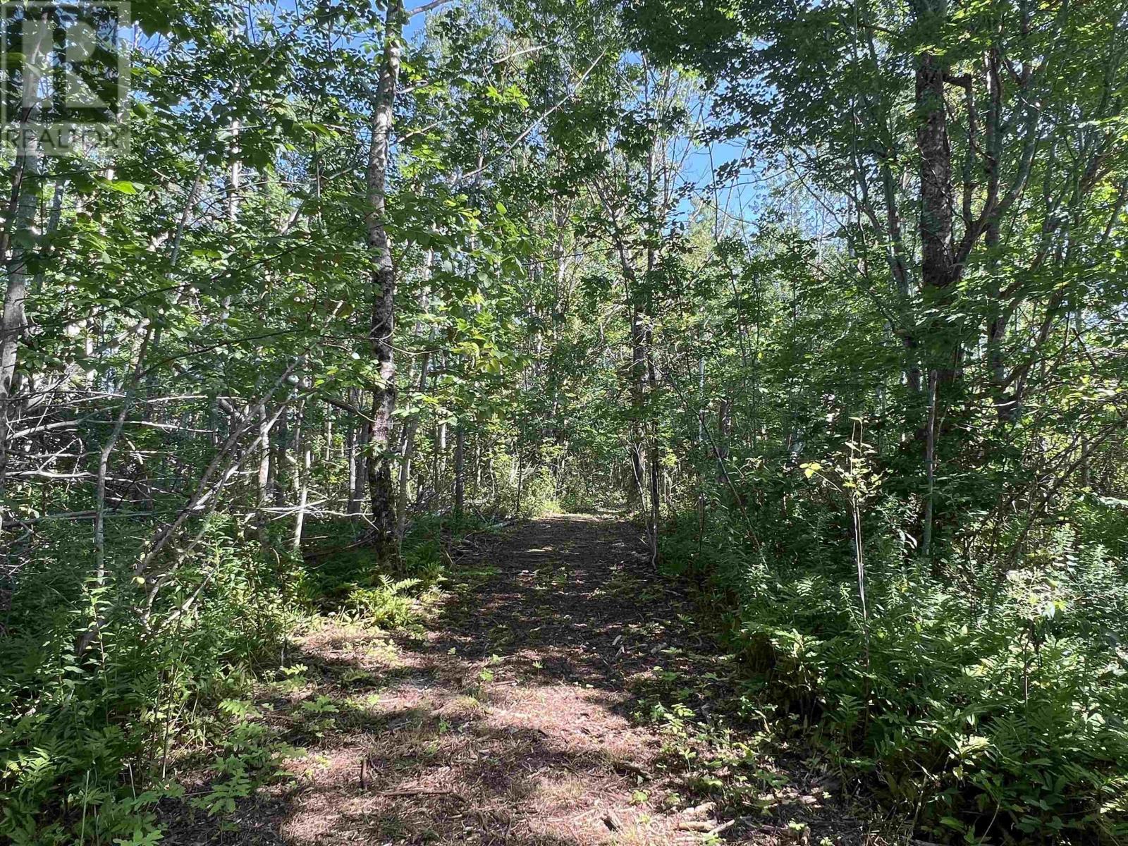 Lot 4-1a2 Loch Broom Road Property Photo 9