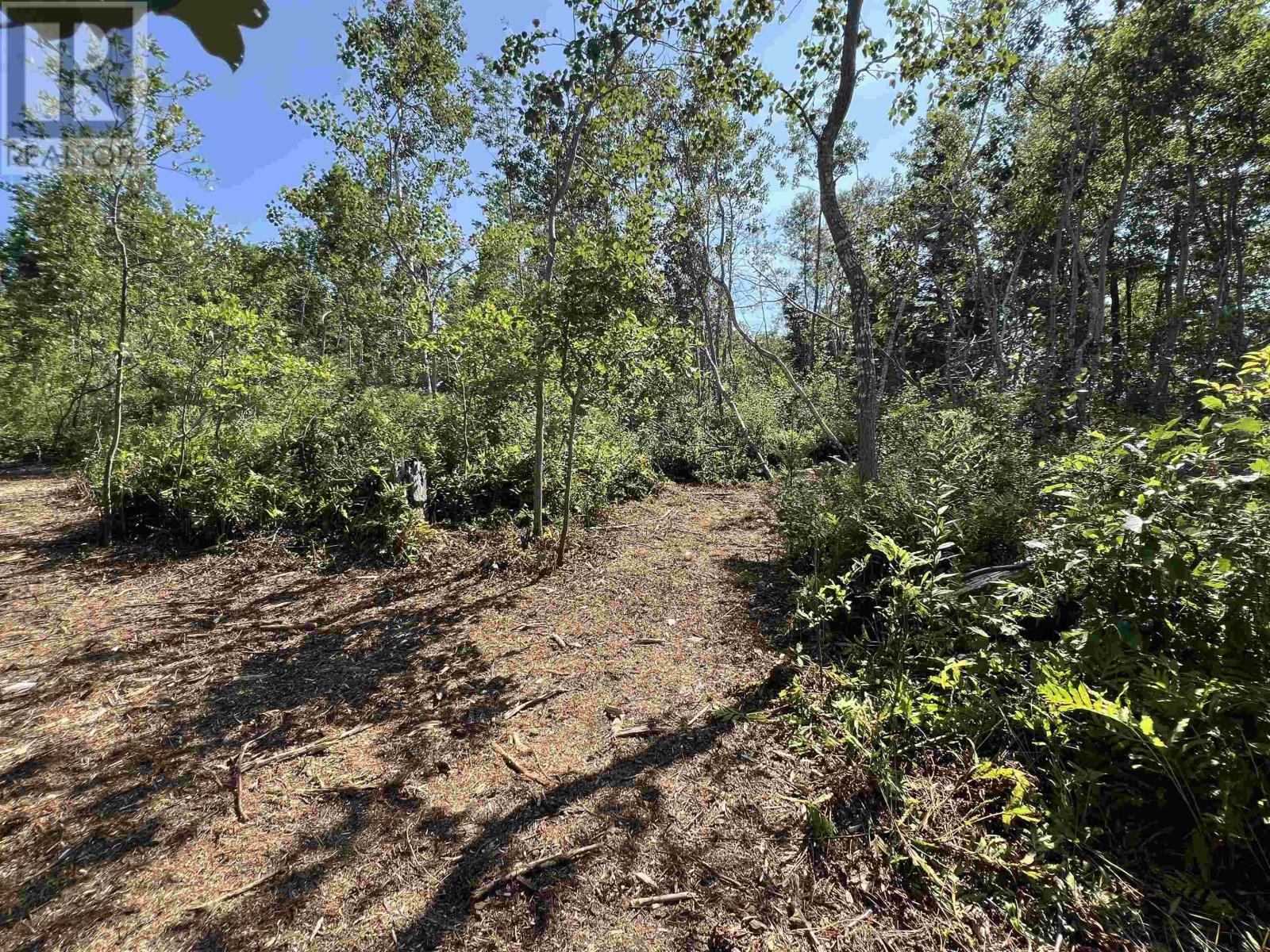 Lot 4-1a2 Loch Broom Road Property Photo 11