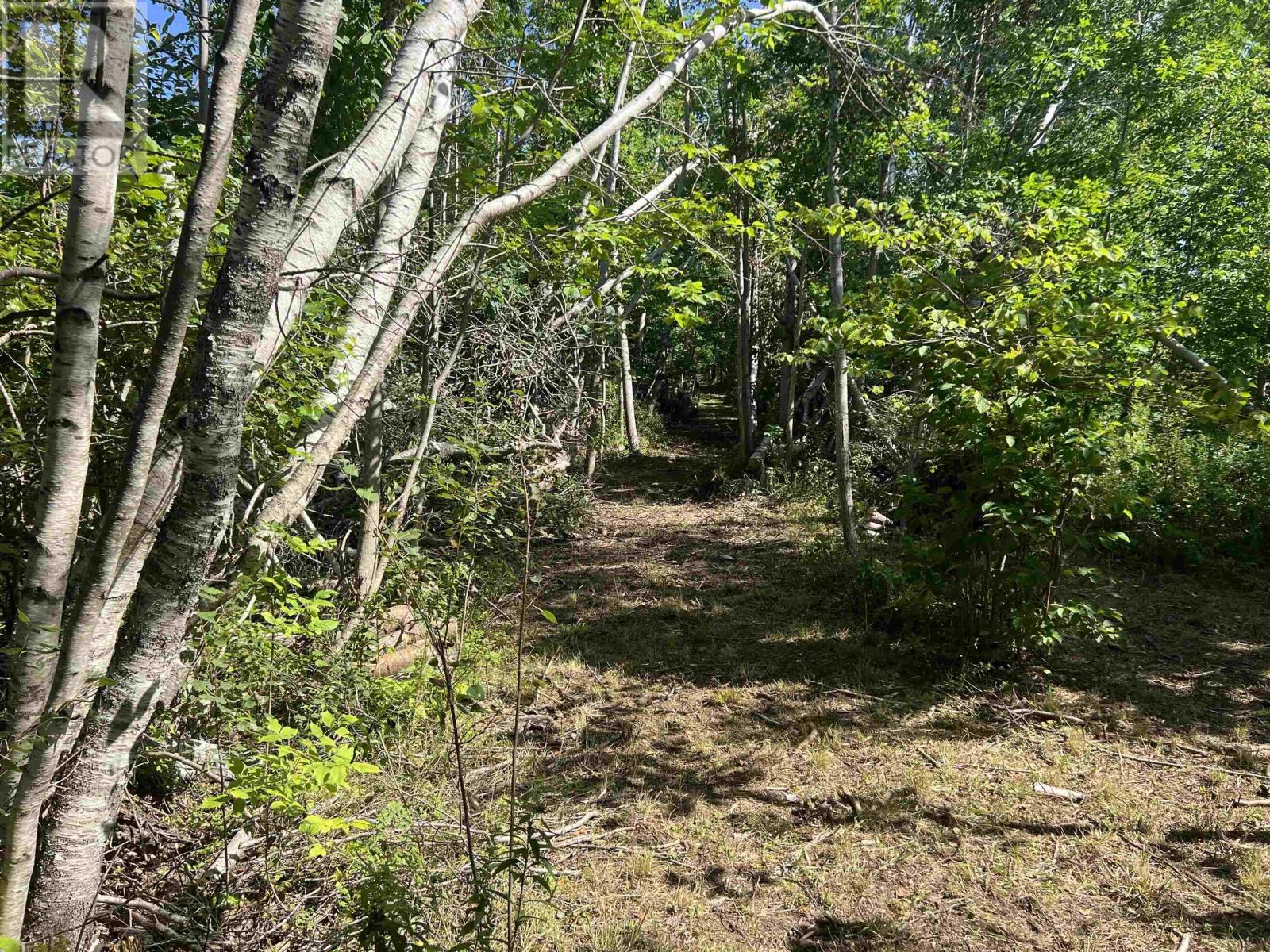 Lot 4-1a2 Loch Broom Road Property Photo 13