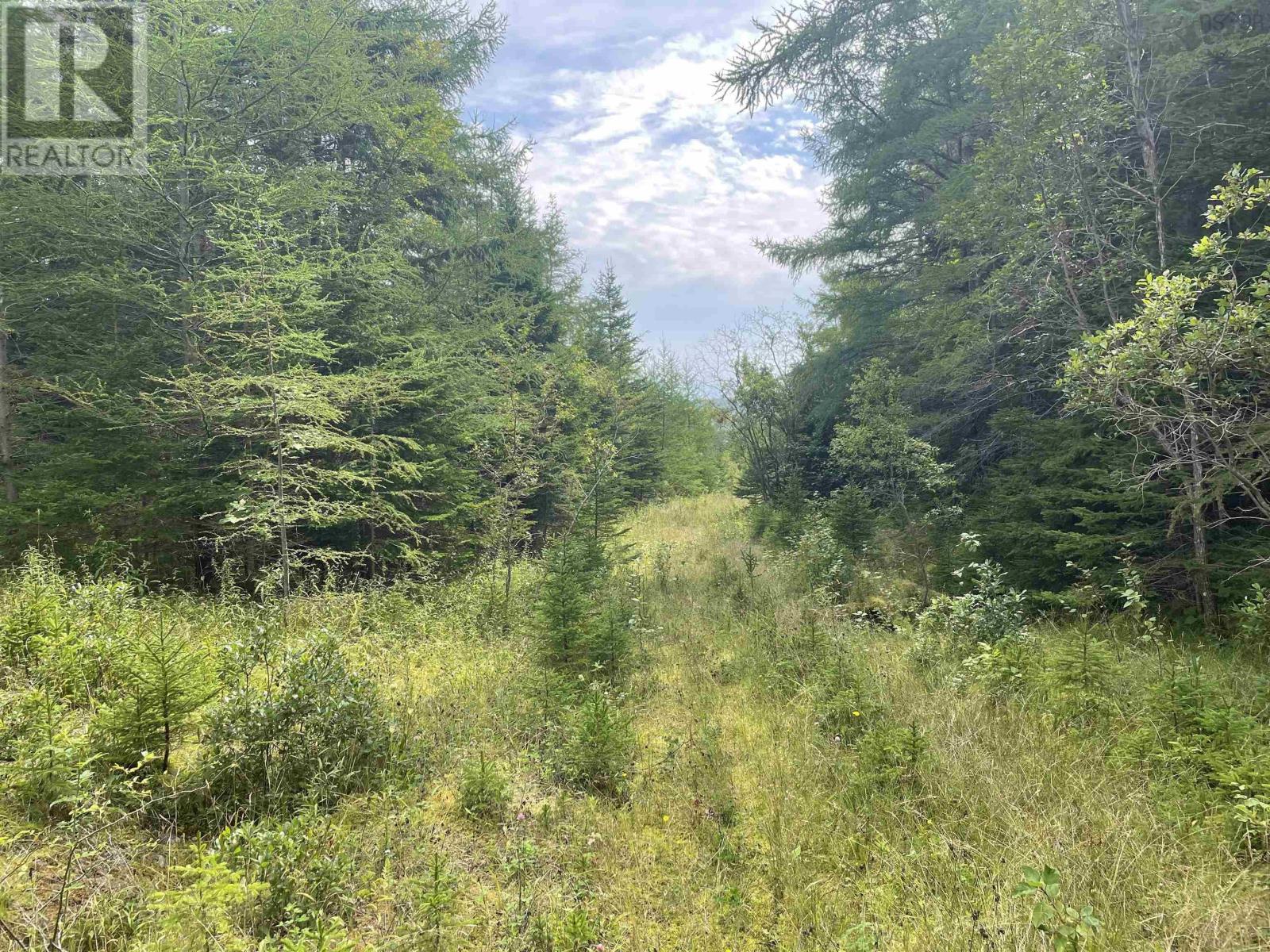 Highway 105 Property Photo