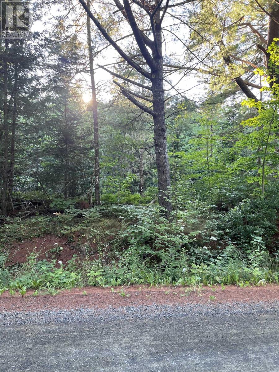 Lot Mill Road Property Photo 18