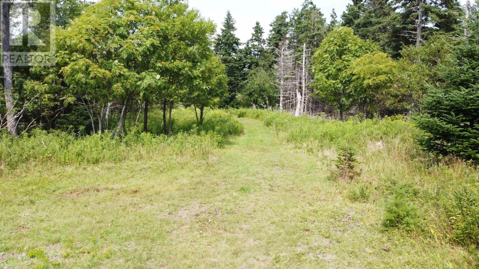 3138 Highway 320 Property Photo 9