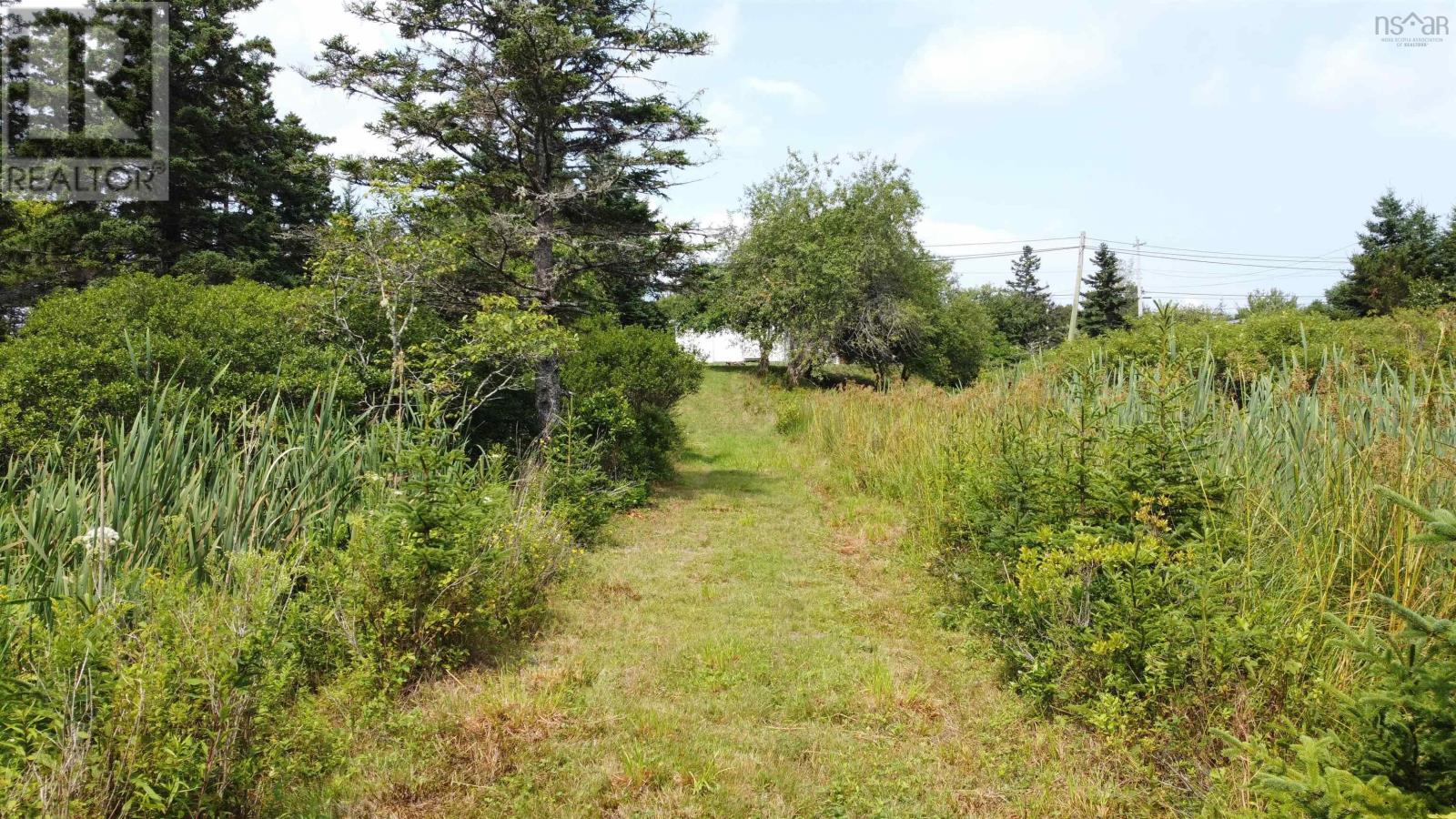 3138 Highway 320 Property Photo 10