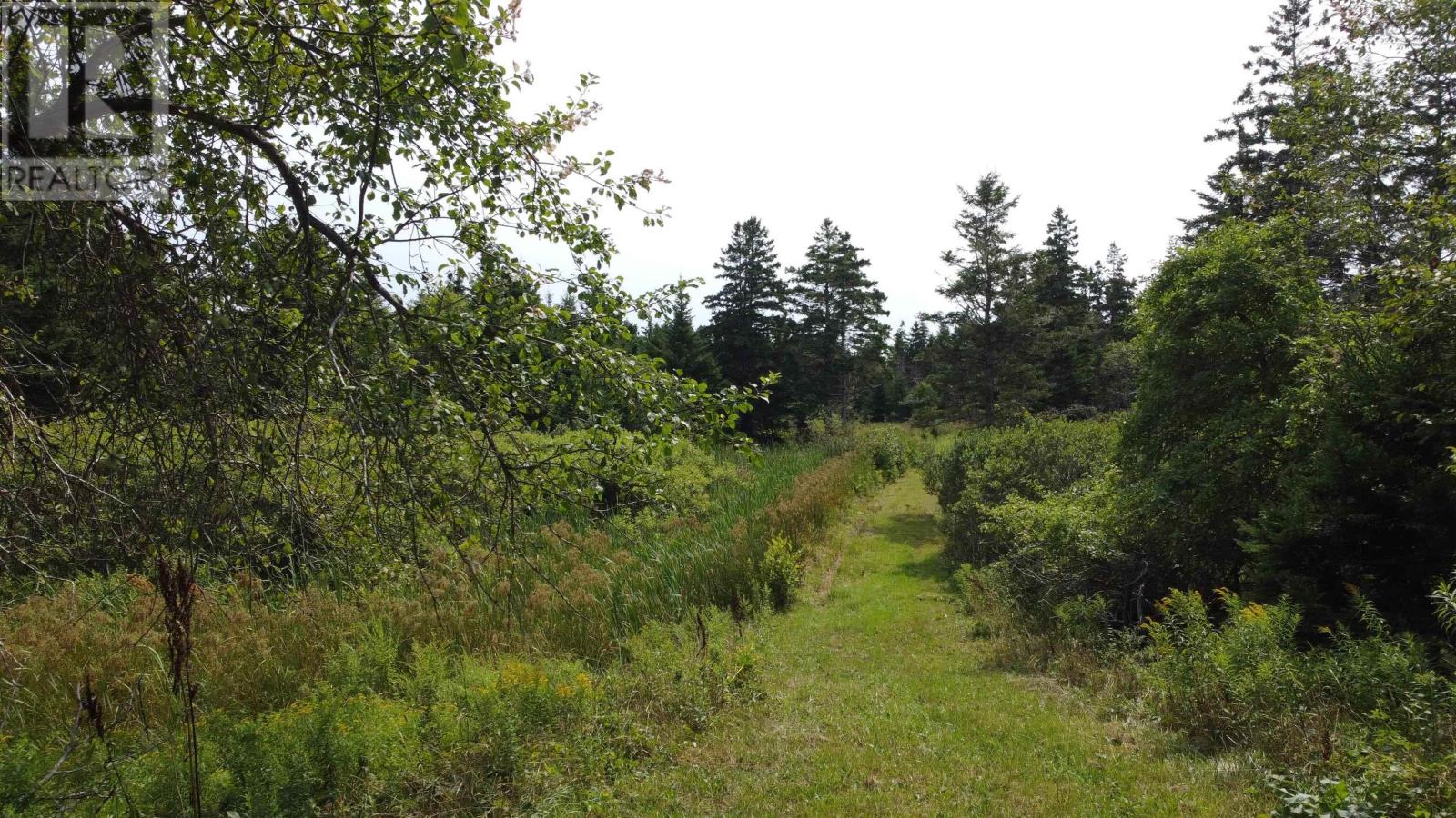 3138 Highway 320 Property Photo 12