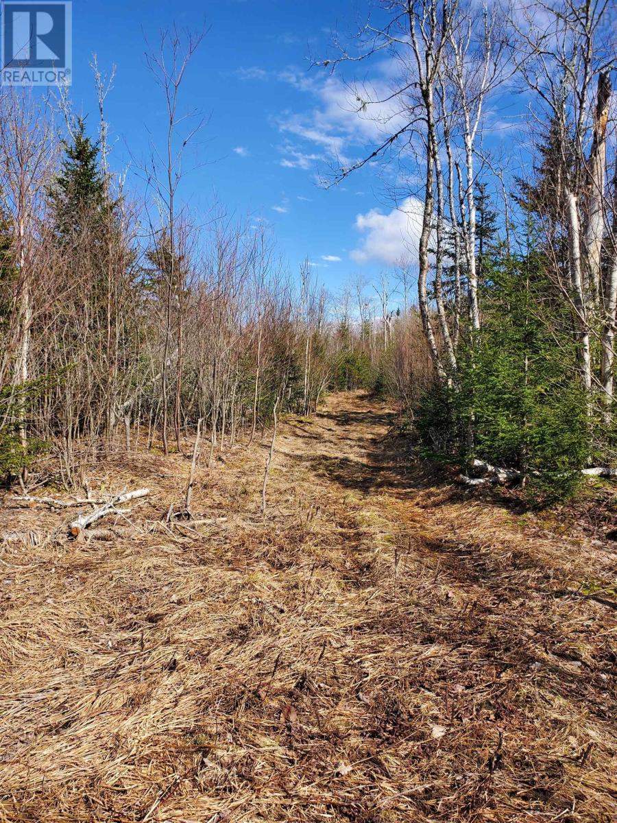 760 Lower Maccan Road Property Photo 4