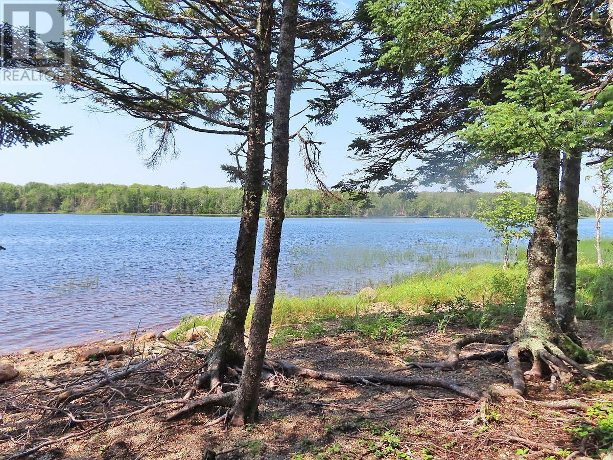 83.9 Acres Grand Mira South Road Property Photo 12