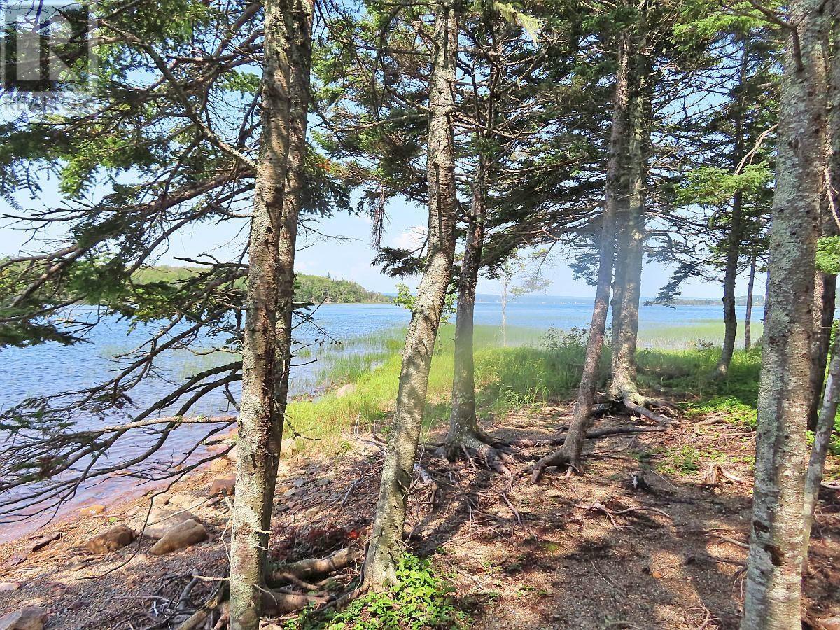 83.9 Acres Grand Mira South Road Property Photo 13