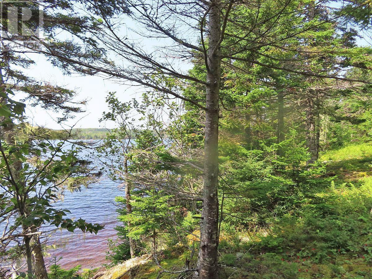 83.9 Acres Grand Mira South Road Property Photo 14