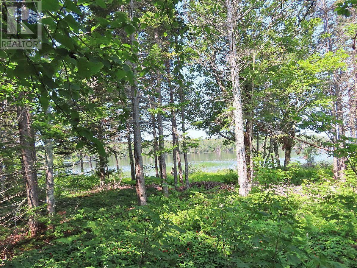 83.9 Acres Grand Mira South Road Property Photo 15