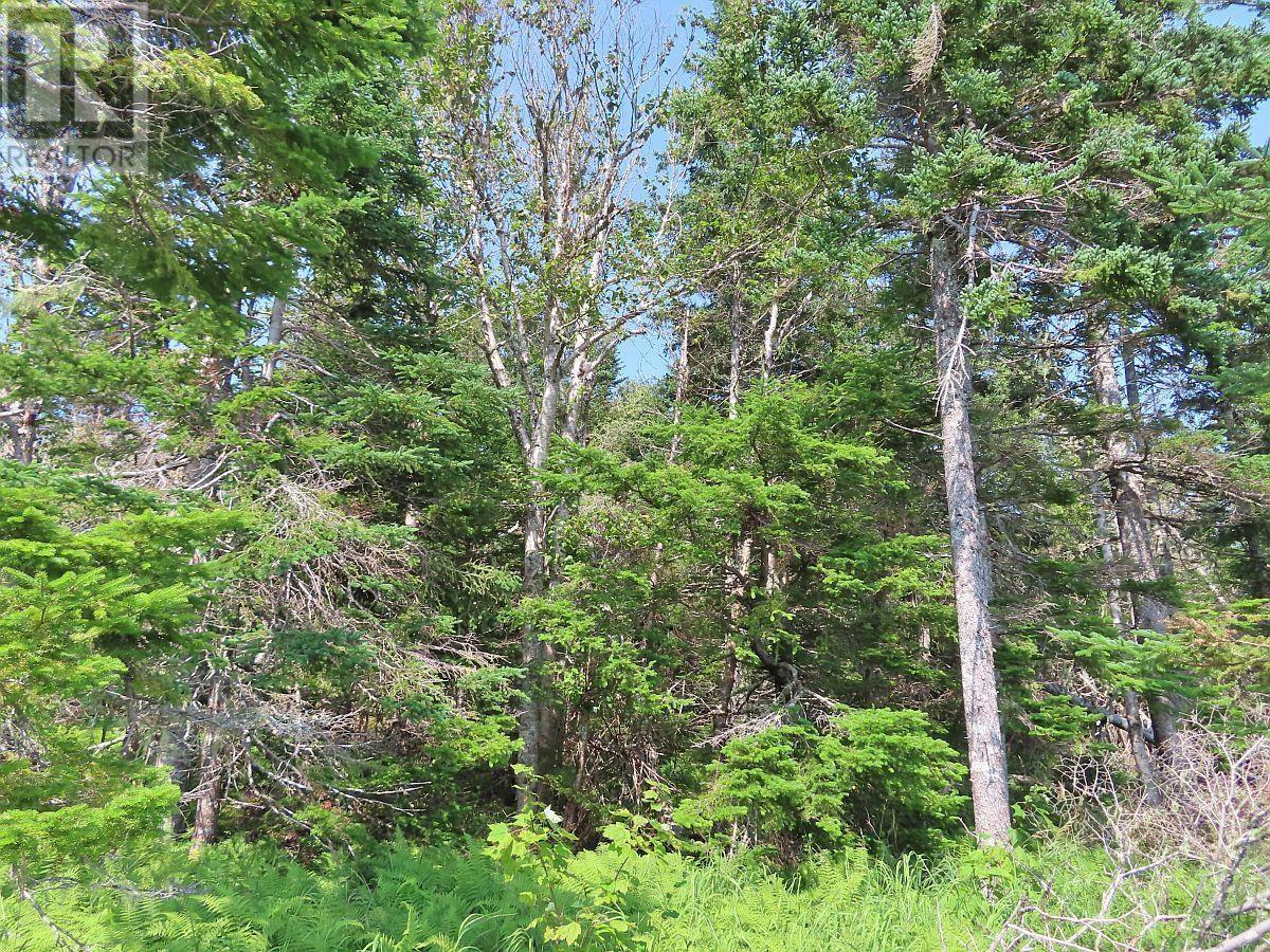 83.9 Acres Grand Mira South Road Property Photo 16