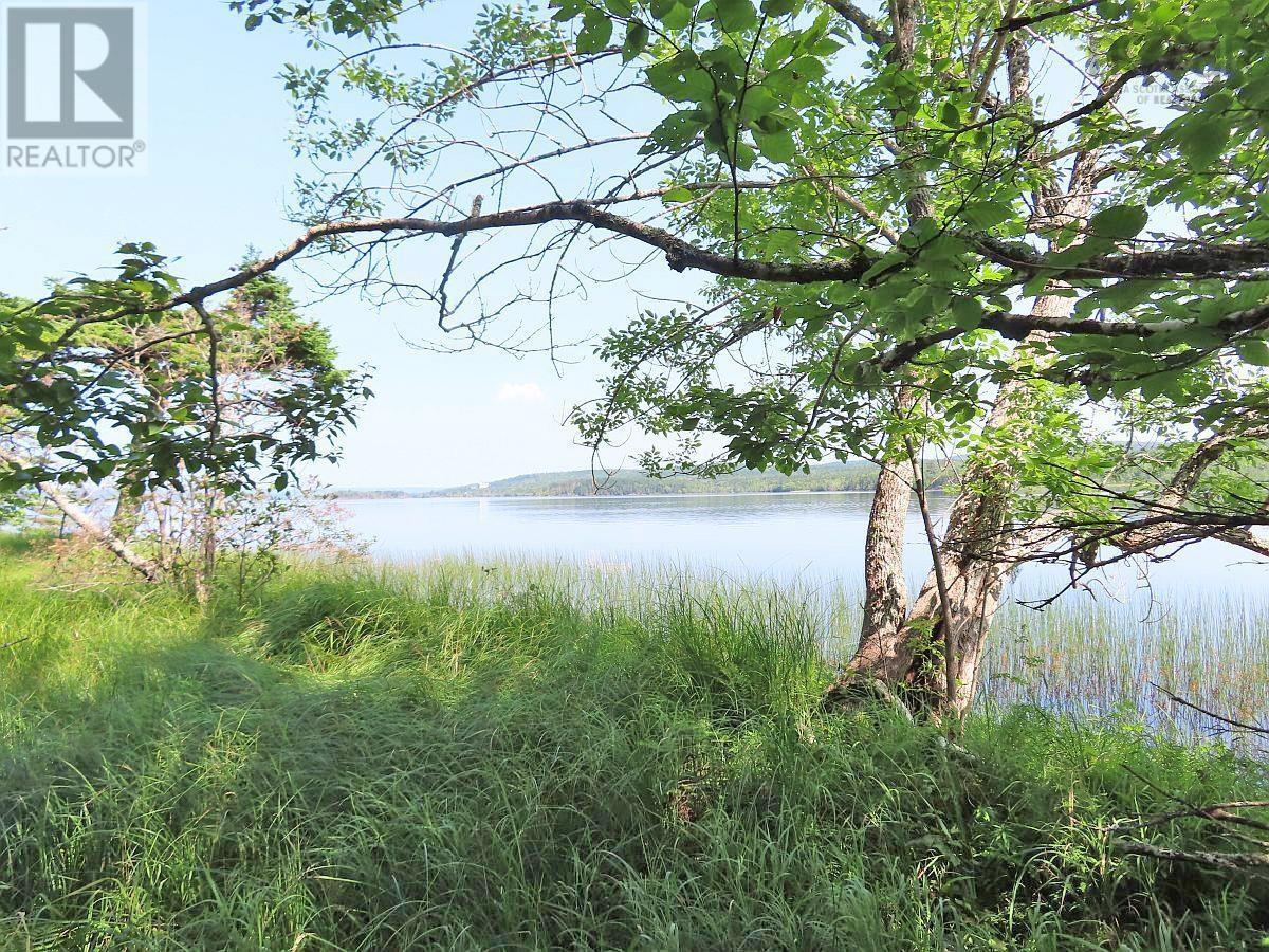 83.9 Acres Grand Mira South Road Property Photo 17