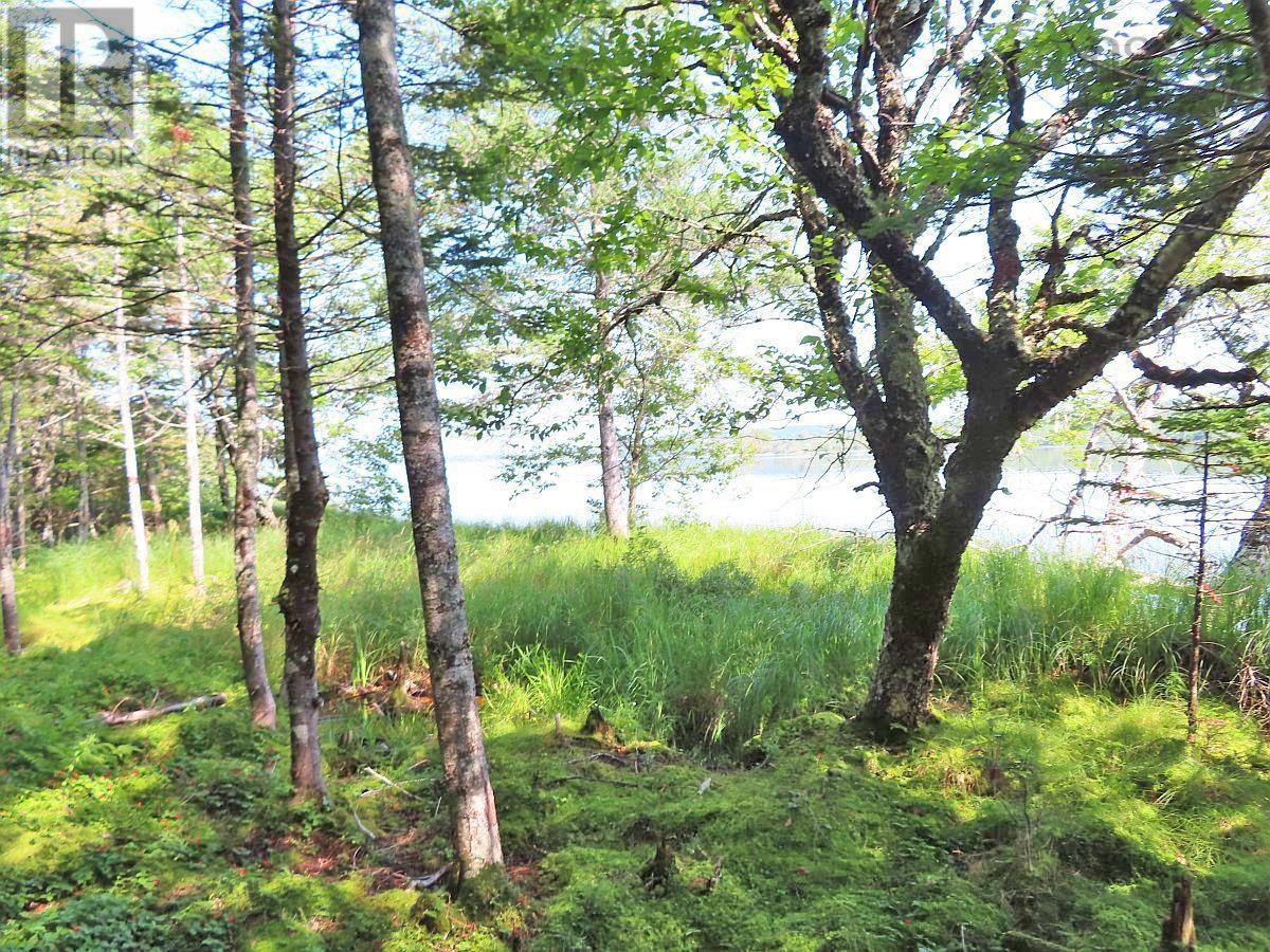 83.9 Acres Grand Mira South Road Property Photo 19
