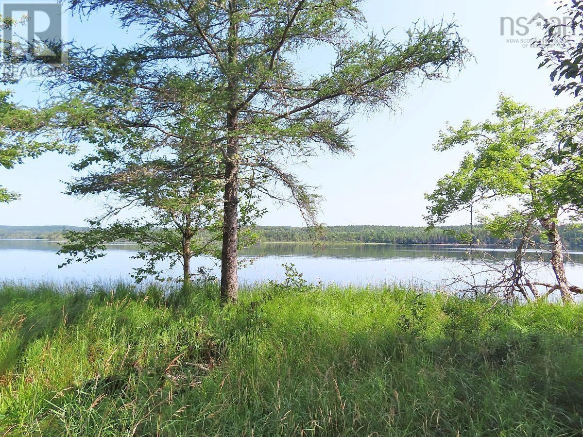 83.9 Acres Grand Mira South Road Property Photo 20