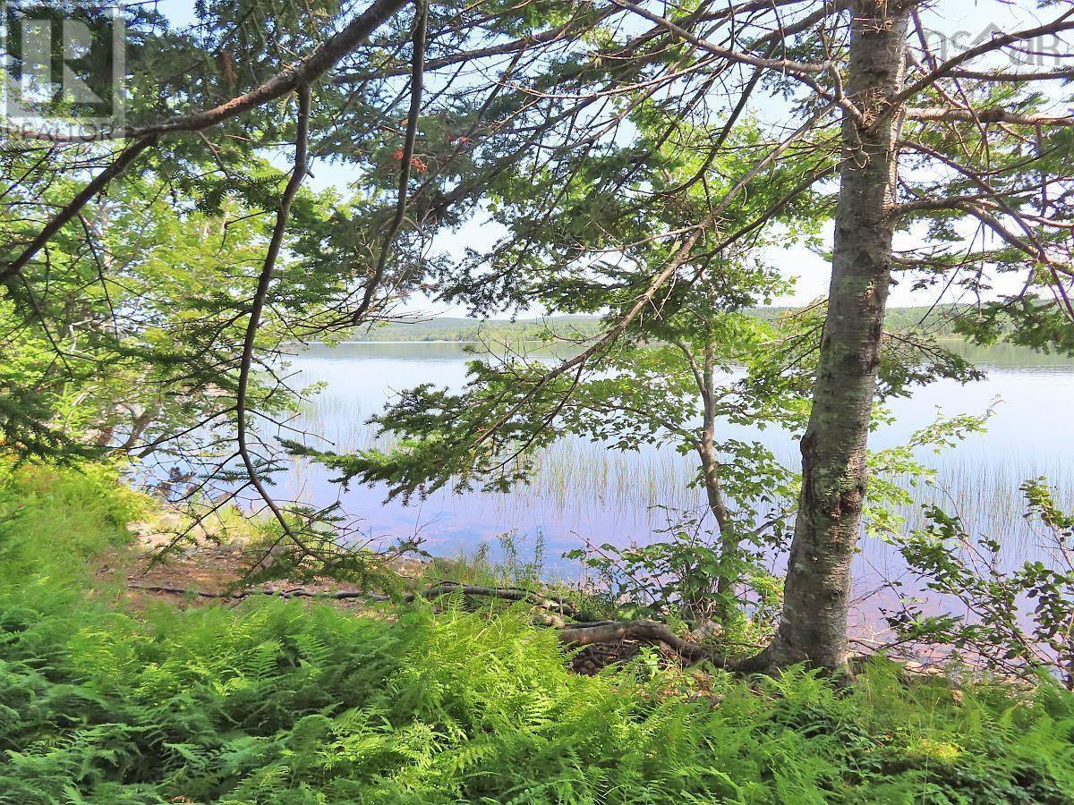 83.9 Acres Grand Mira South Road Property Photo 23