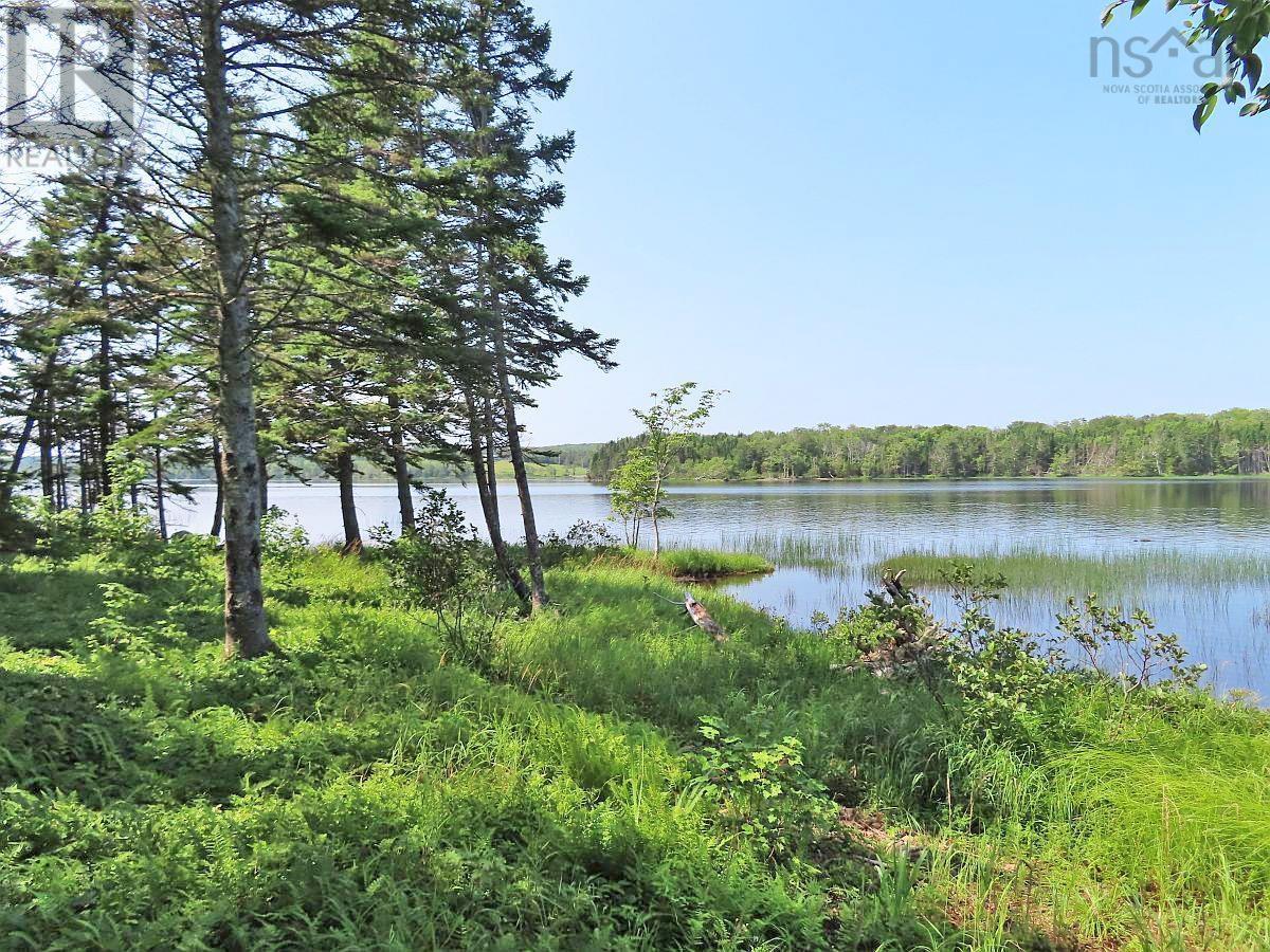 83.9 Acres Grand Mira South Road Property Photo 25