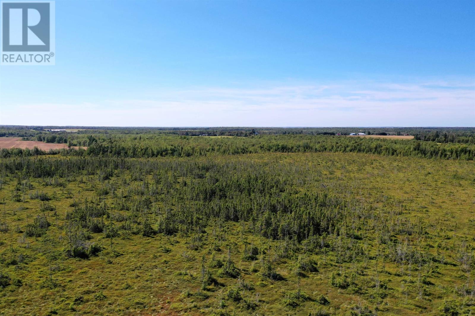 Acreage Monaghan Road Property Photo 18