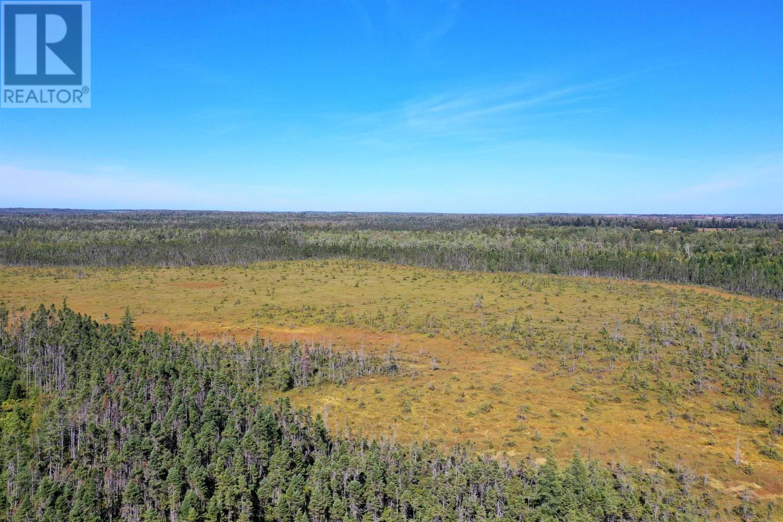 Acreage Monaghan Road Property Photo 19