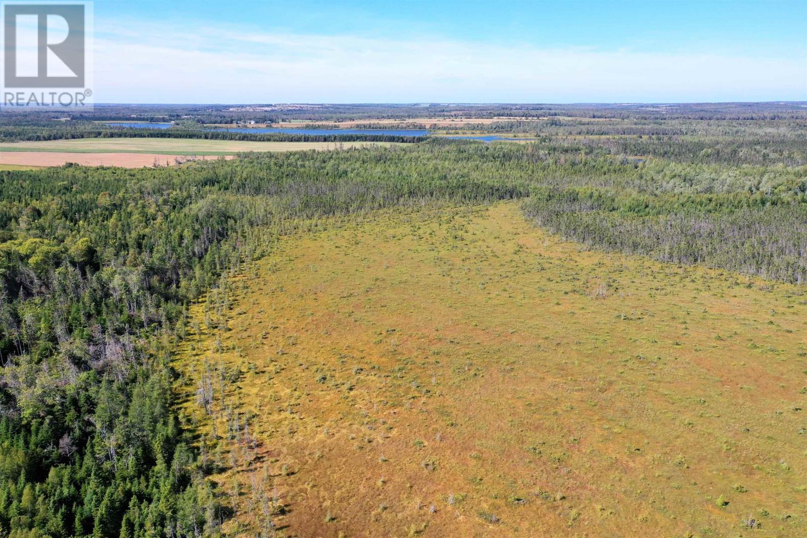 Acreage Monaghan Road Property Photo 20