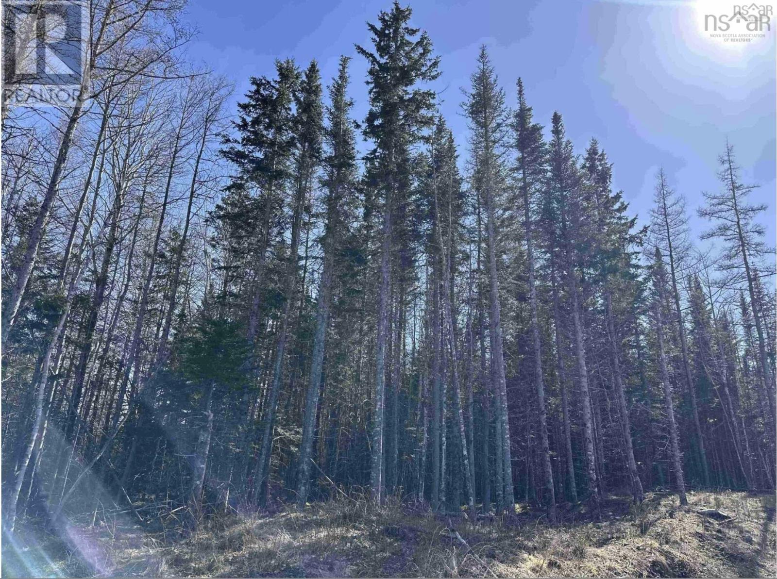 Lot 16 - Lower River Road Property Photo 9