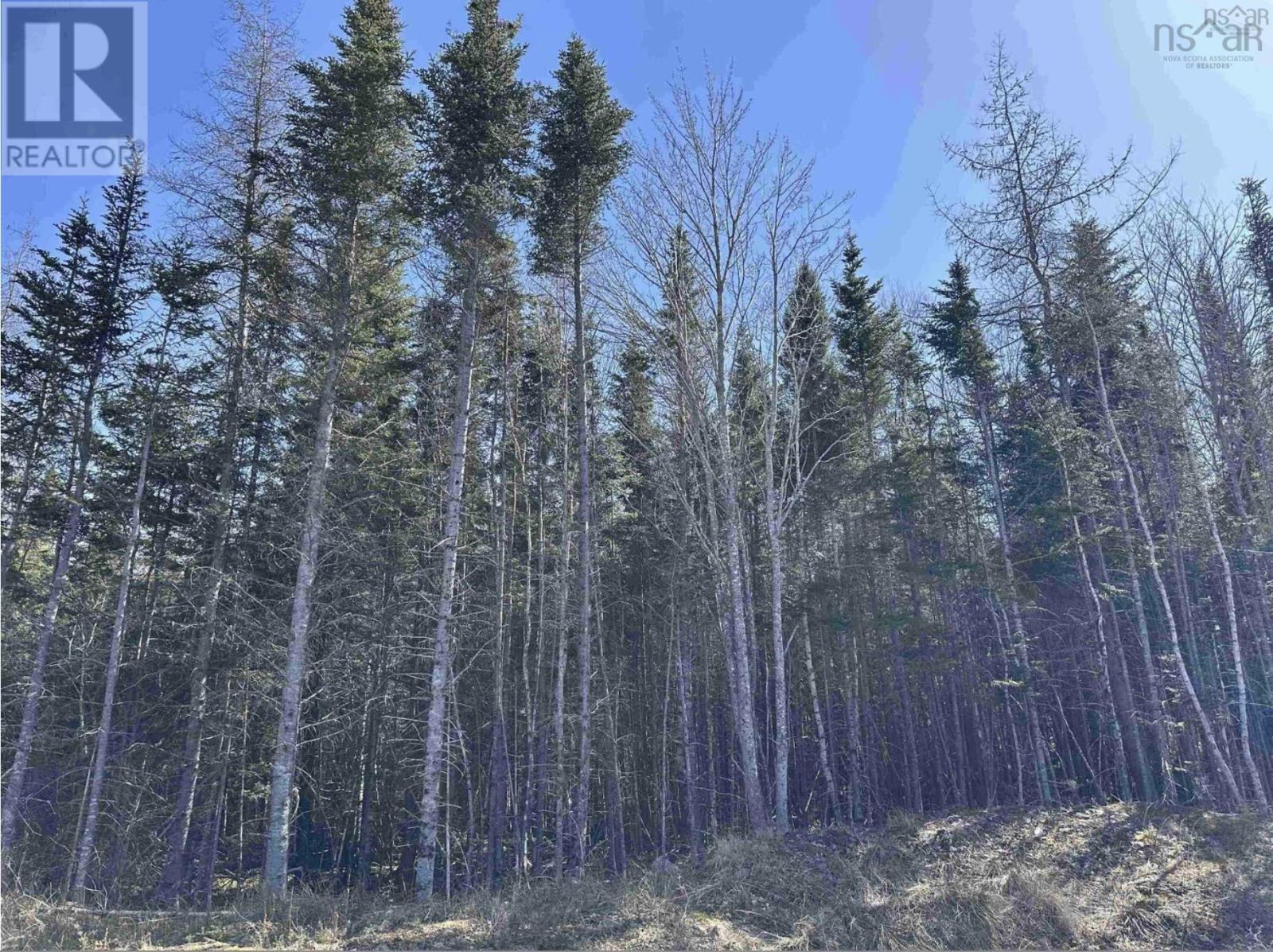 Lot 16 - Lower River Road Property Photo 12