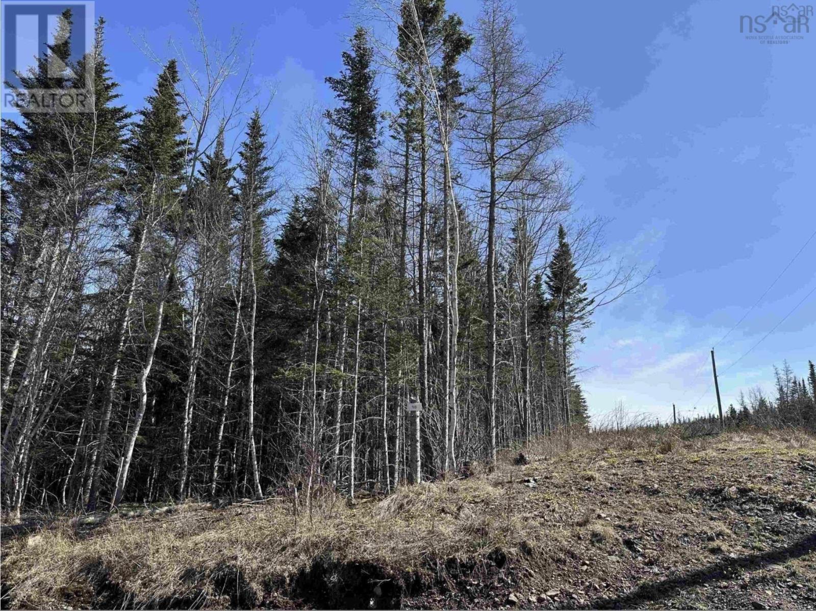 Lot 16 - Lower River Road Property Photo 13