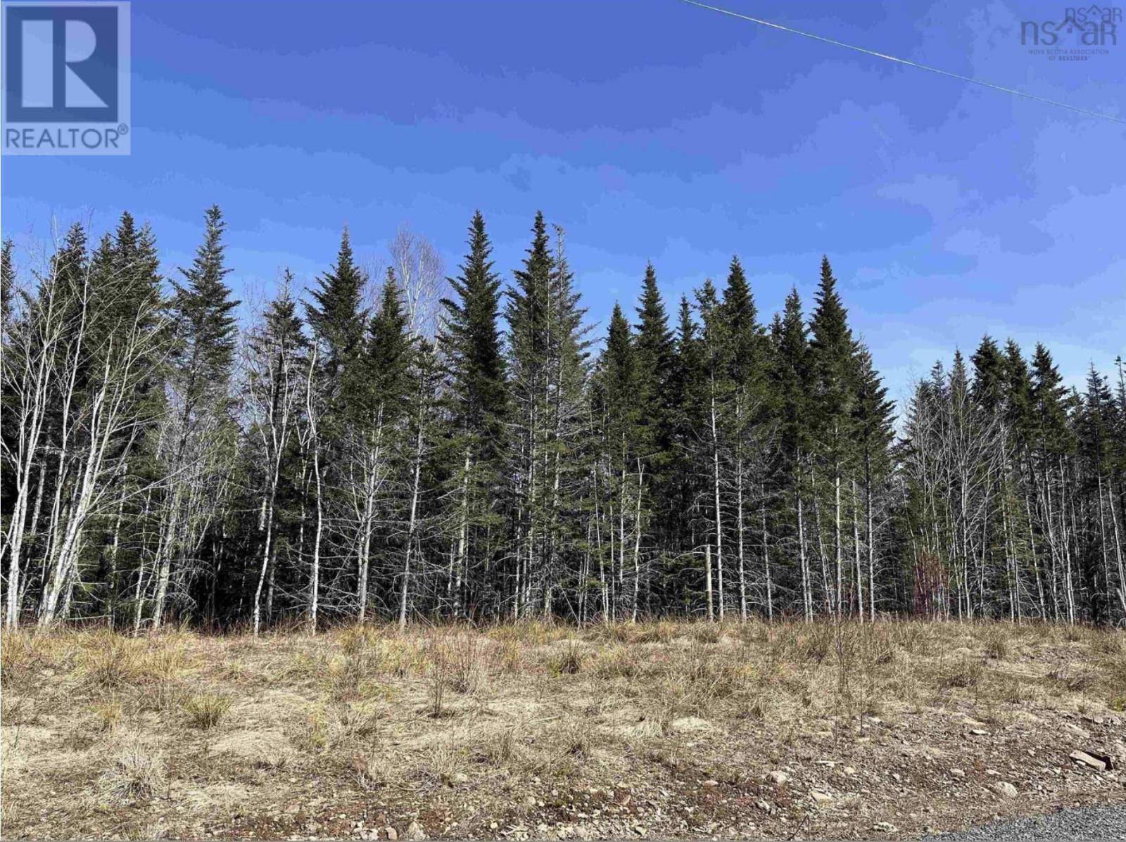 Lot 16 - Lower River Road Property Photo 17