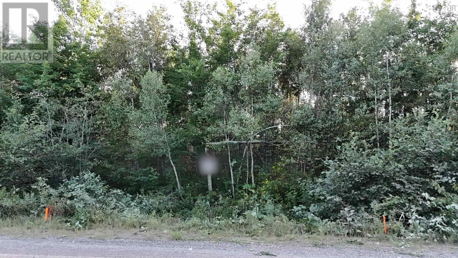 Lot 12 Joudrey Road Property Photo 5