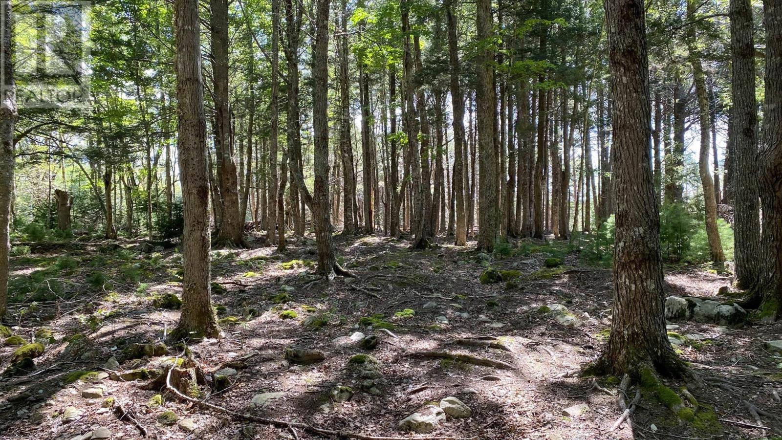 Lot 18 Thumb Cap Point Property Photo 2