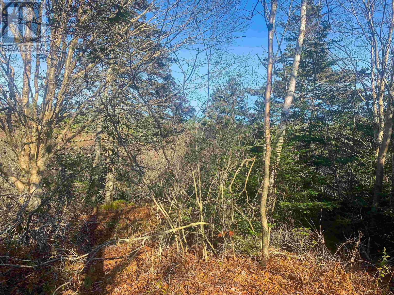 Lot C. Boudreau Road Property Photo 4