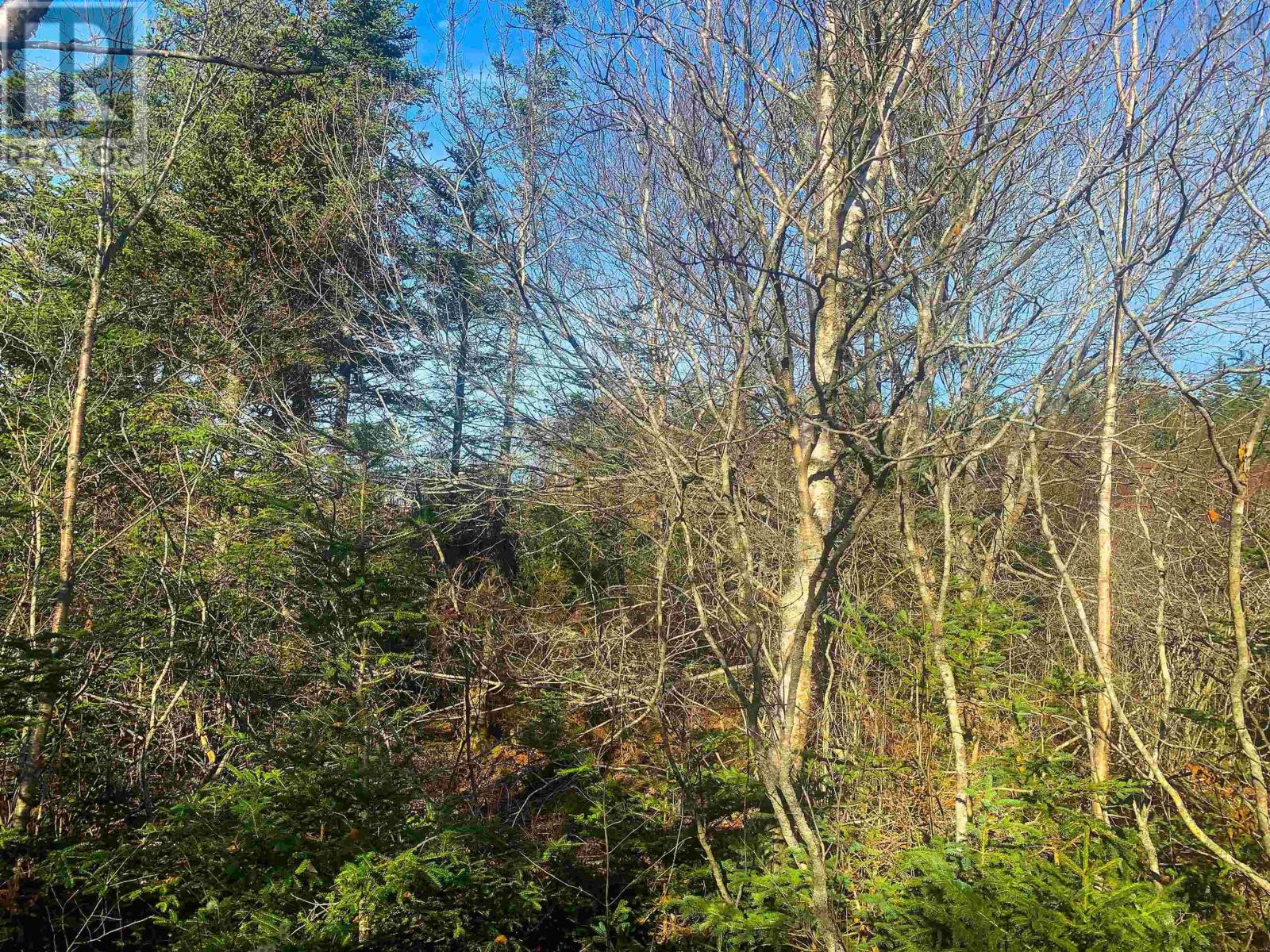 Lot C. Boudreau Road Property Photo 5