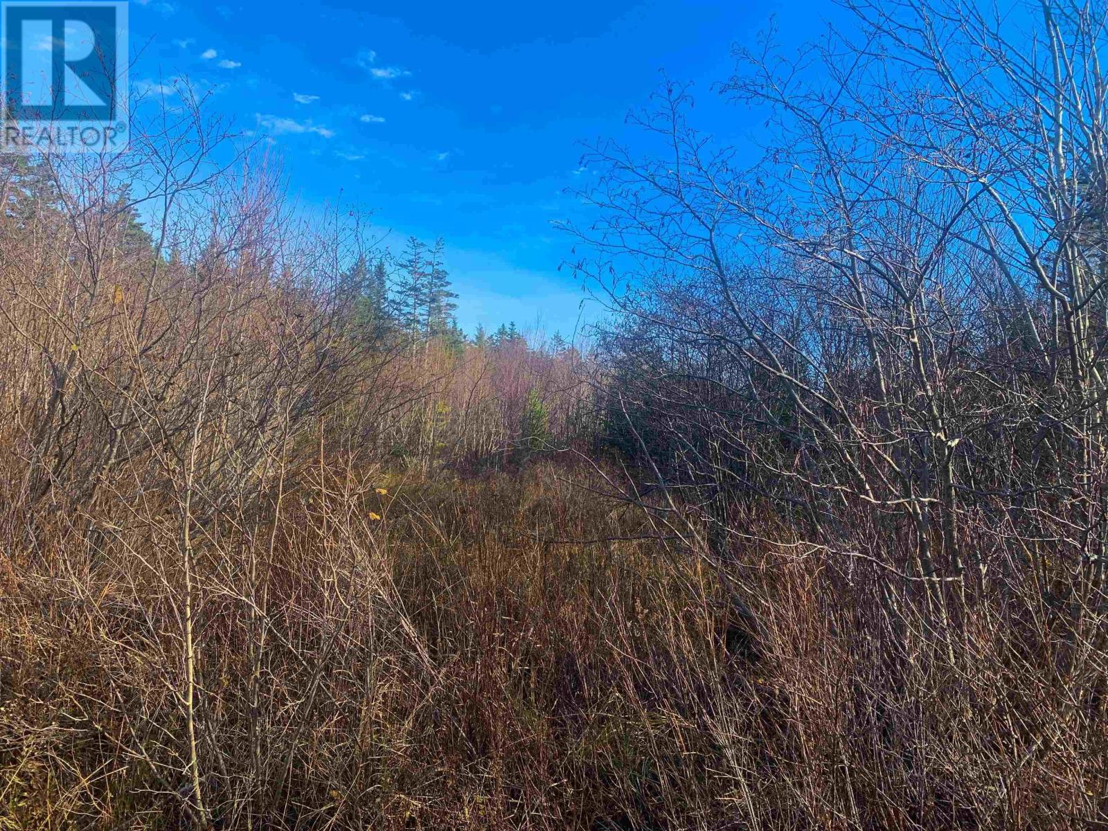 Lot C. Boudreau Road Property Photo 6