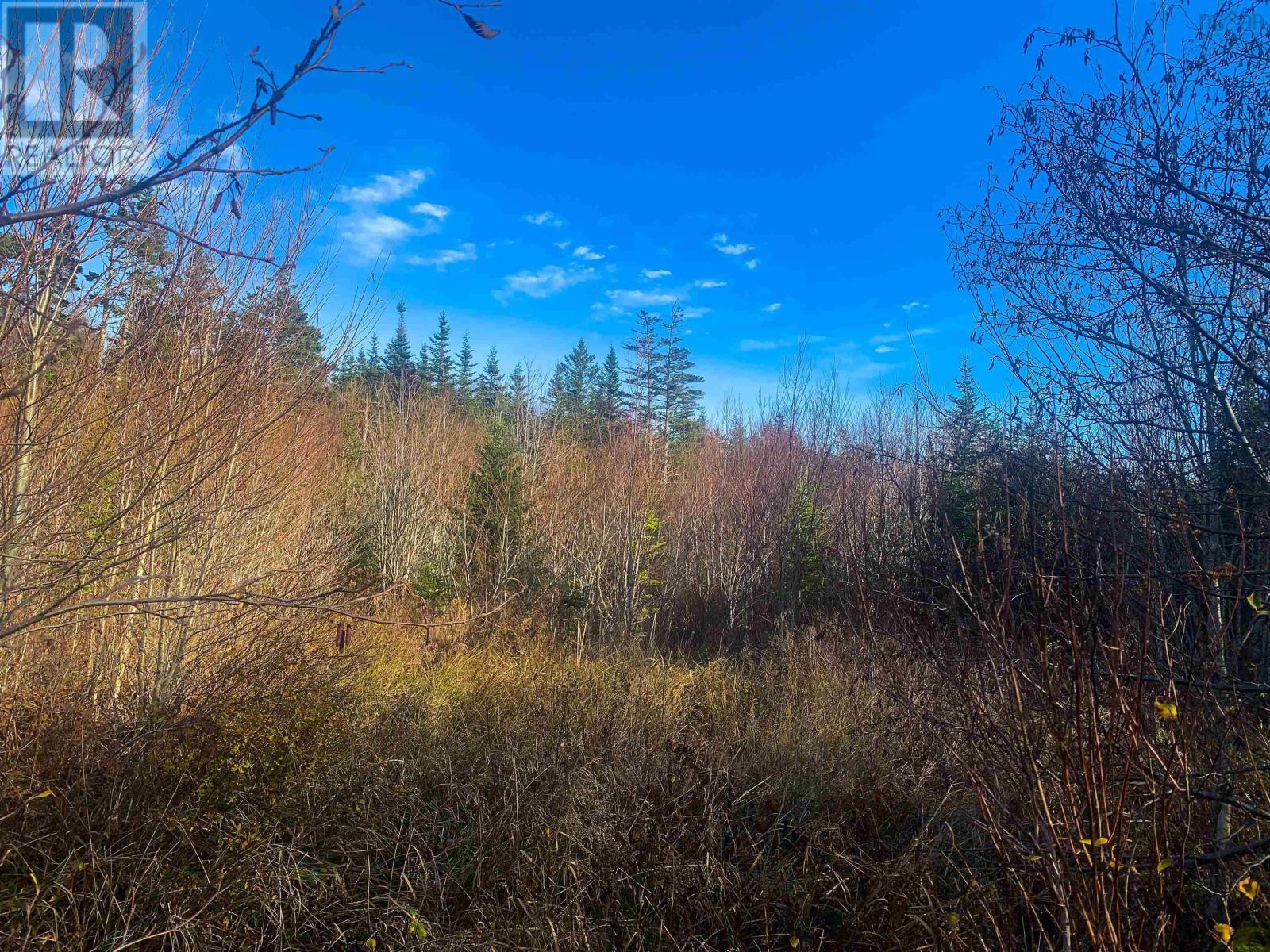 Lot C. Boudreau Road Property Photo 7