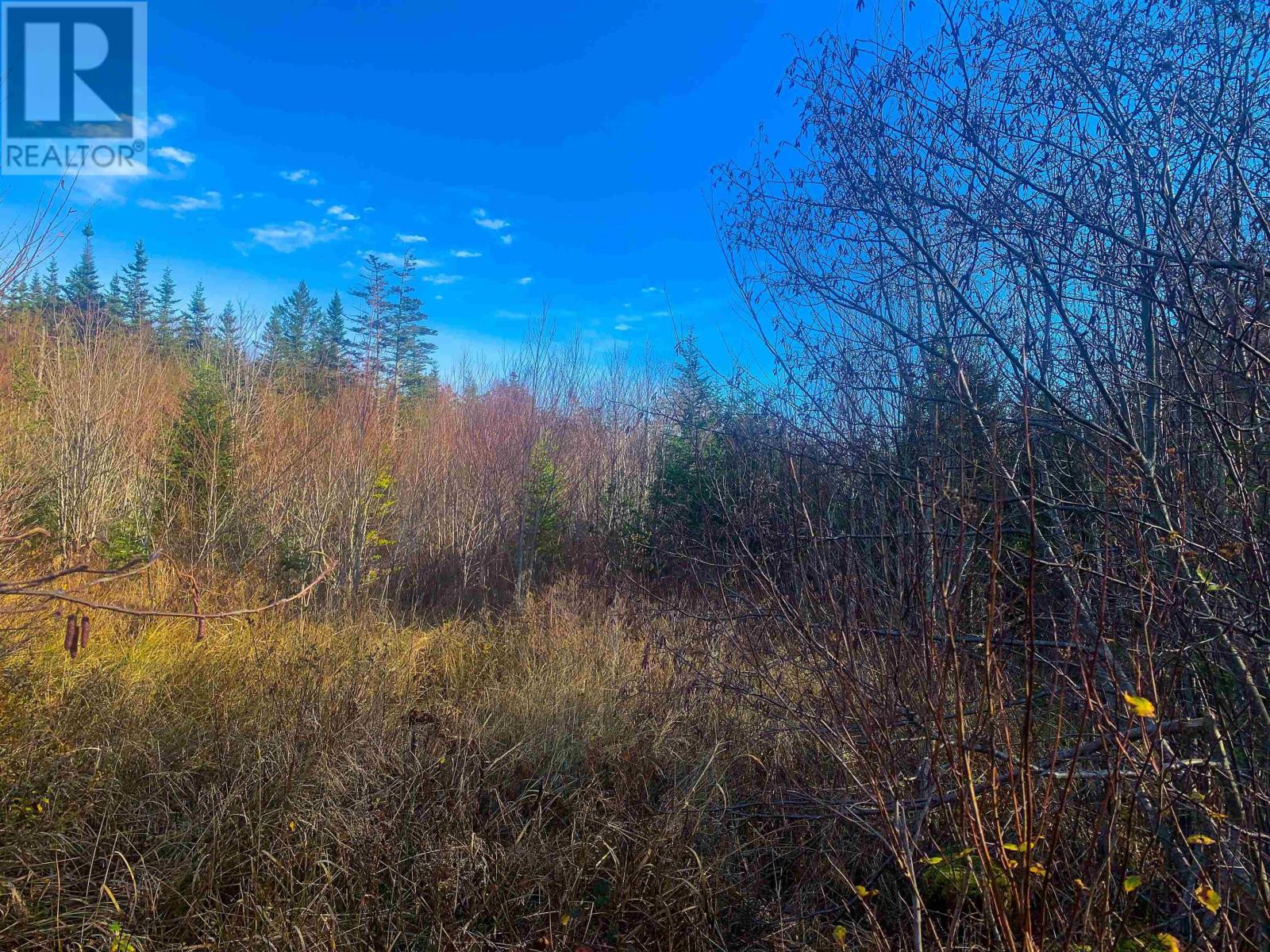 Lot C. Boudreau Road Property Photo 9