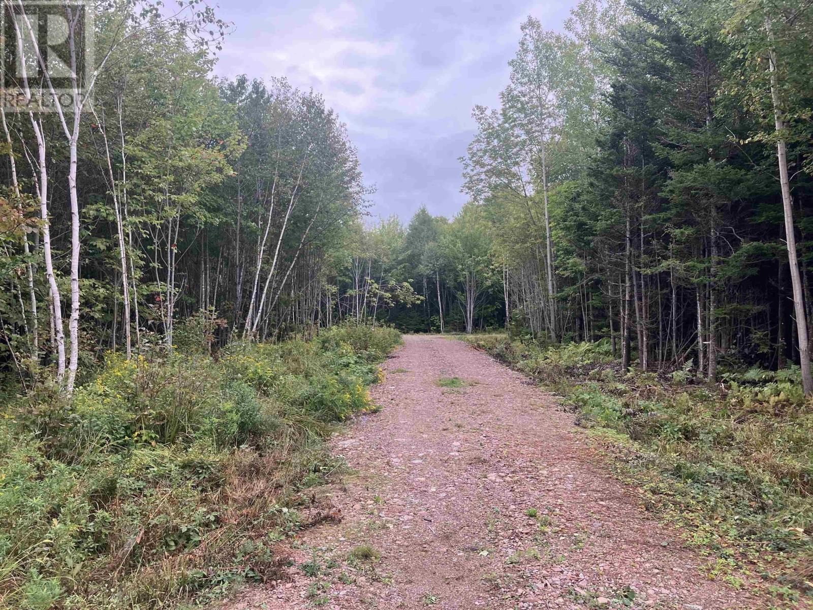 Lot 2020-5 Highway 223 Property Photo 2